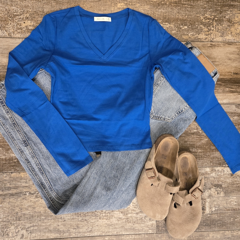 Blue V-Neck Long Sleeve Top - Picture 1 of 1